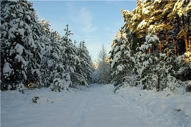 任天堂将于8月26日举行树屋直播 介绍《斯普拉遁3》等